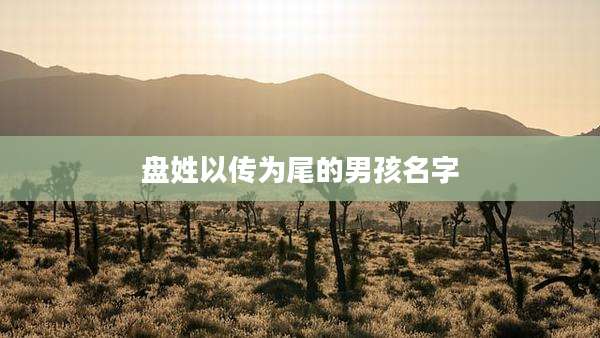 盘姓以传为尾的男孩名字