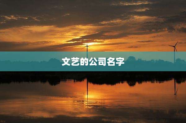 文艺的公司名字
