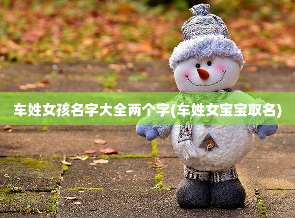 车姓女孩名字大全两个字(车姓女宝宝取名)