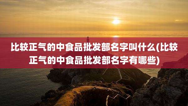 比较正气的中食品批发部名字叫什么(比较正气的中食品批发部名字有哪些)