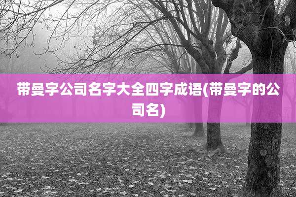 带曼字公司名字大全四字成语(带曼字的公司名)