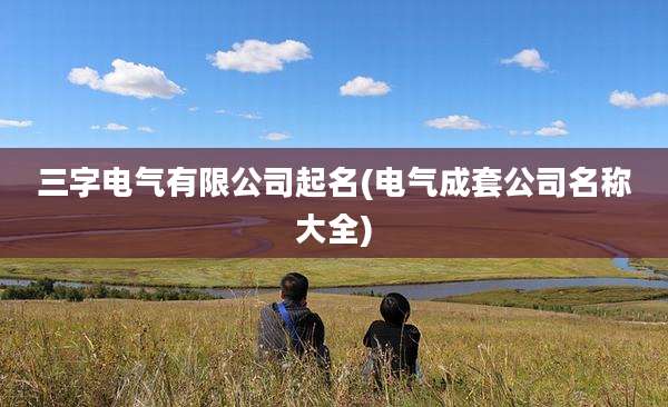 三字电气有限公司起名(电气成套公司名称大全)