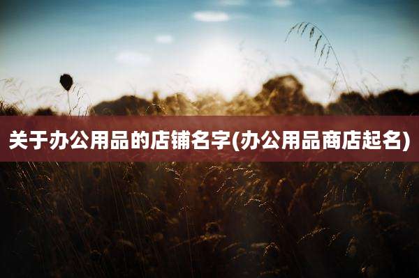 关于办公用品的店铺名字(办公用品商店起名)