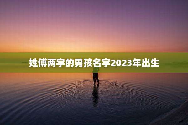 姓傅两字的男孩名字2023年出生