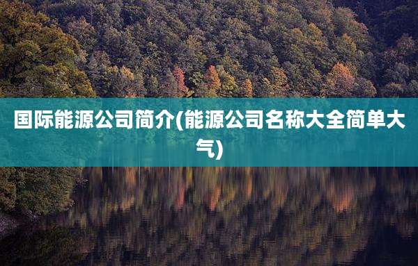 国际能源公司简介(能源公司名称大全简单大气)