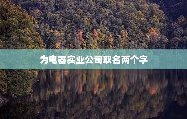 为电器实业公司取名两个字