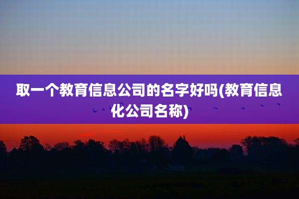 取一个教育信息公司的名字好吗(教育信息化公司名称)