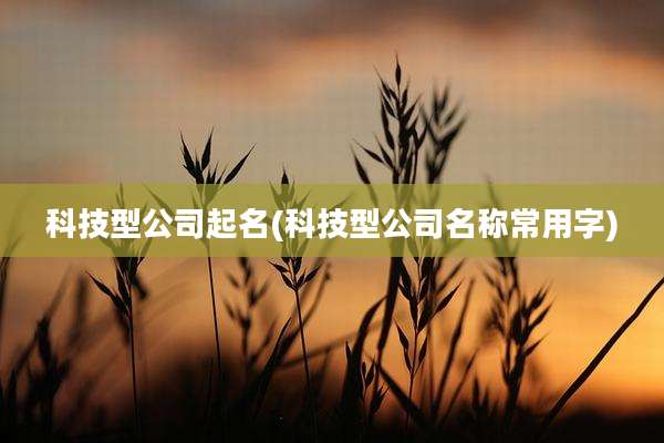 科技型公司起名(科技型公司名称常用字)