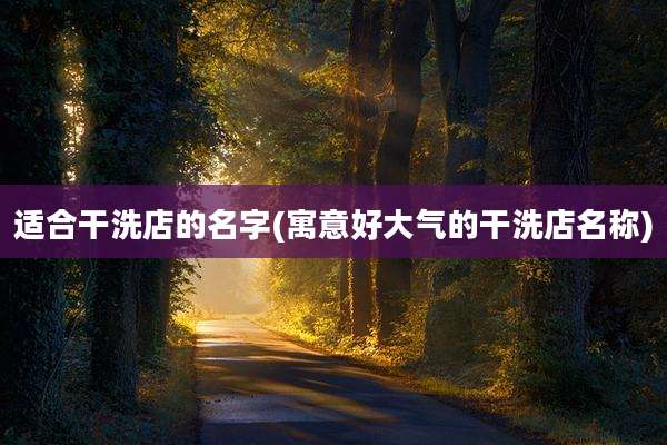 适合干洗店的名字(寓意好大气的干洗店名称)