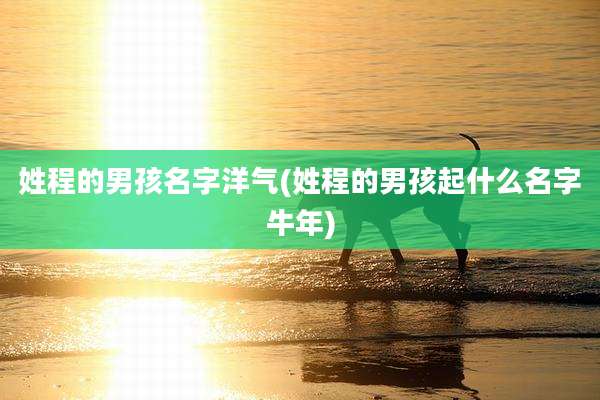 姓程的男孩名字洋气(姓程的男孩起什么名字牛年)