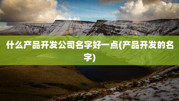 什么产品开发公司名字好一点(产品开发的名字)