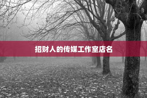 招财人的传媒工作室店名