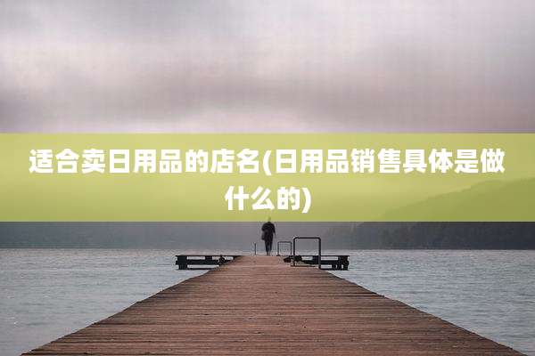 适合卖日用品的店名(日用品销售具体是做什么的)