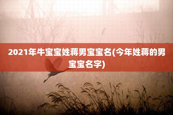 2021年牛宝宝姓蒋男宝宝名(今年姓蒋的男宝宝名字)