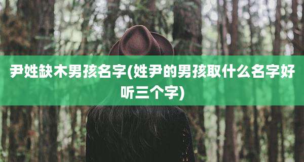 尹姓缺木男孩名字(姓尹的男孩取什么名字好听三个字)