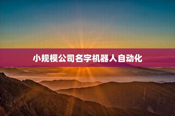 小规模公司名字机器人自动化