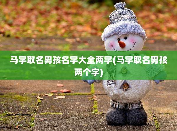 马字取名男孩名字大全两字(马字取名男孩两个字)