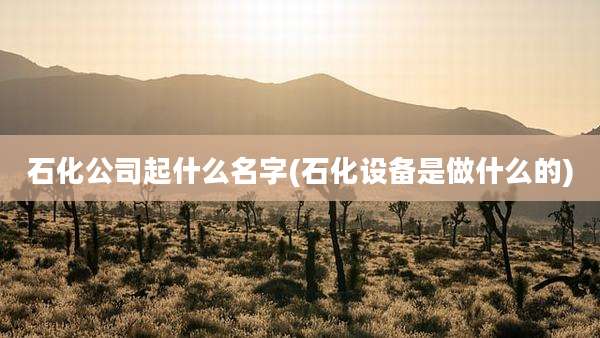 石化公司起什么名字(石化设备是做什么的)
