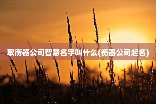 取衡器公司智慧名字叫什么(衡器公司起名)
