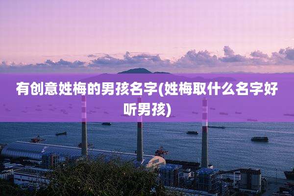 有创意姓梅的男孩名字(姓梅取什么名字好听男孩)