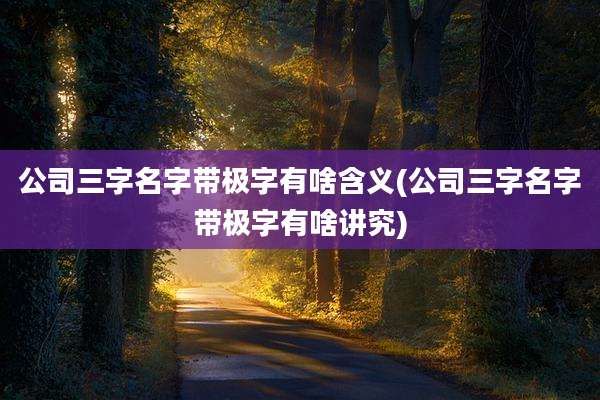 公司三字名字带极字有啥含义(公司三字名字带极字有啥讲究)