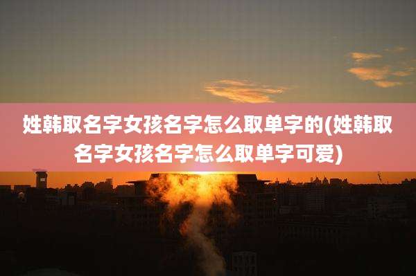 姓韩取名字女孩名字怎么取单字的(姓韩取名字女孩名字怎么取单字可爱)