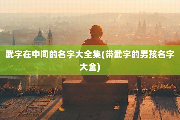 武字在中间的名字大全集(带武字的男孩名字大全)