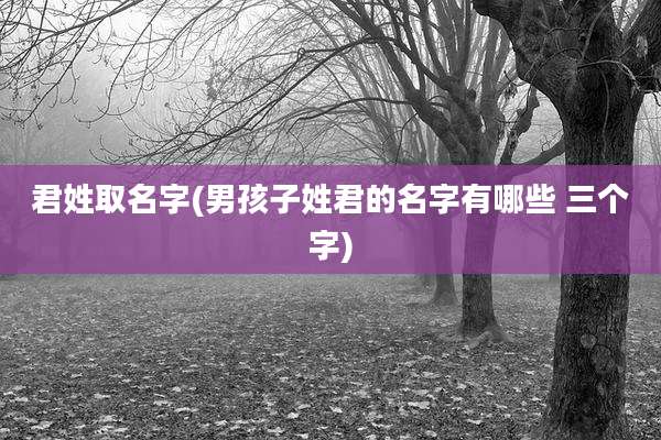 君姓取名字(男孩子姓君的名字有哪些 三个字)