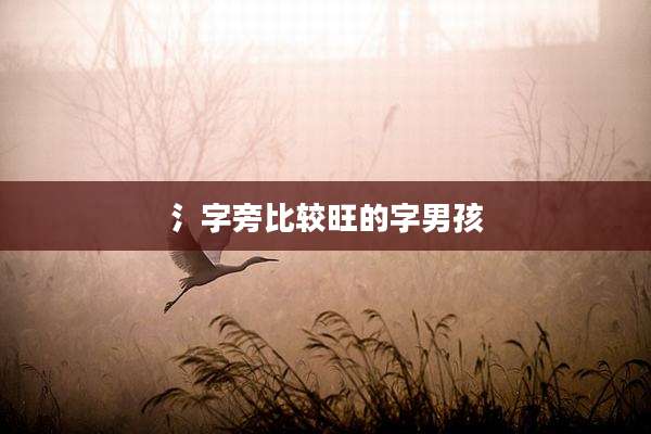 氵字旁比较旺的字男孩