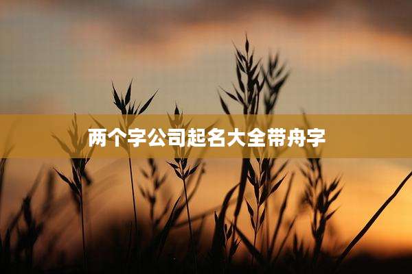 两个字公司起名大全带舟字