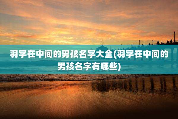 羽字在中间的男孩名字大全(羽字在中间的男孩名字有哪些)