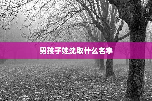 男孩子姓沈取什么名字