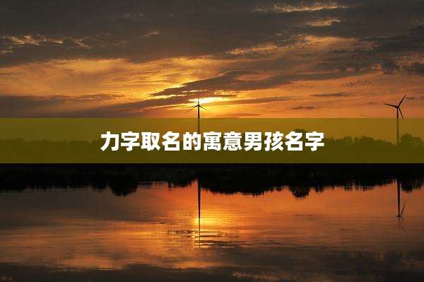 力字取名的寓意男孩名字