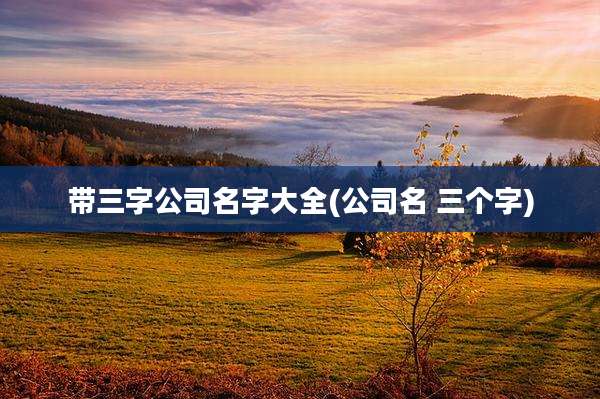 带三字公司名字大全(公司名 三个字)