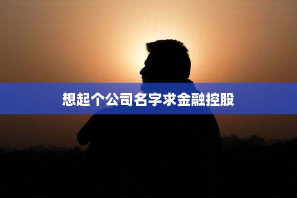 想起个公司名字求金融控股