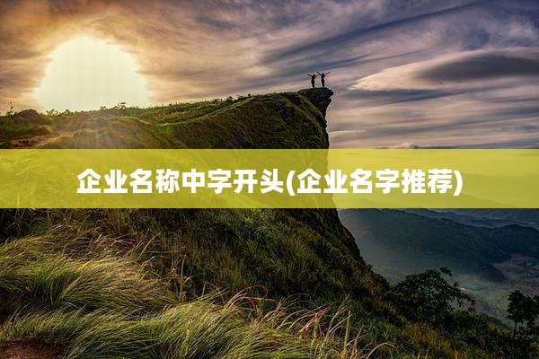 企业名称中字开头(企业名字推荐)