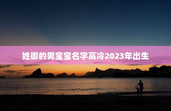 姓御的男宝宝名字高冷2023年出生