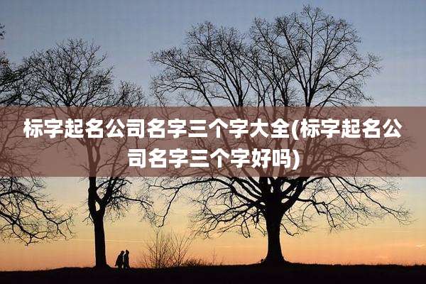 标字起名公司名字三个字大全(标字起名公司名字三个字好吗)