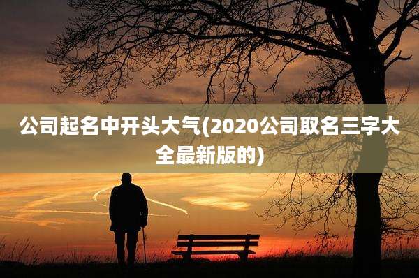 公司起名中开头大气(2020公司取名三字大全最新版的)