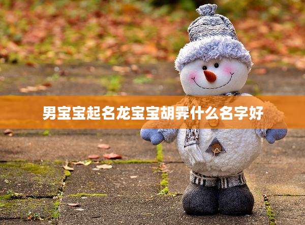 男宝宝起名龙宝宝胡霁什么名字好