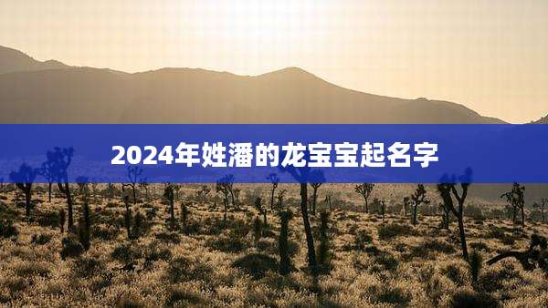 2024年姓潘的龙宝宝起名字