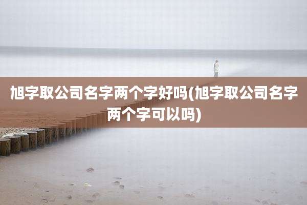 旭字取公司名字两个字好吗(旭字取公司名字两个字可以吗)