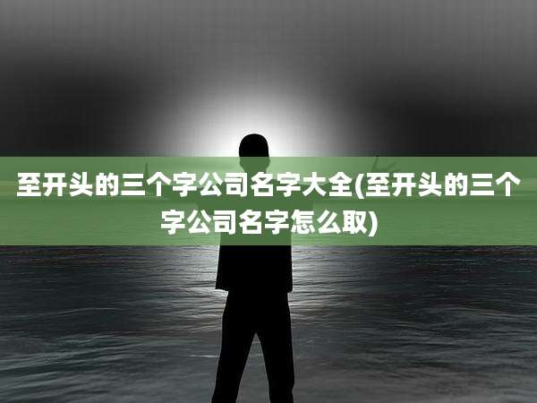 至开头的三个字公司名字大全(至开头的三个字公司名字怎么取)