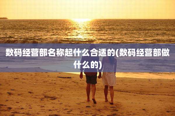 数码经营部名称起什么合适的(数码经营部做什么的)