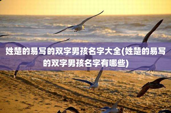 姓楚的易写的双字男孩名字大全(姓楚的易写的双字男孩名字有哪些)