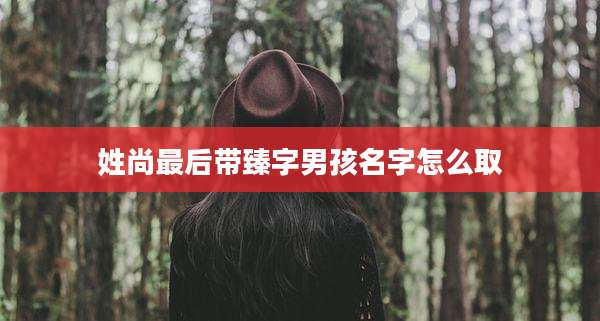 姓尚最后带臻字男孩名字怎么取