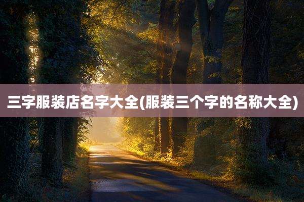 三字服装店名字大全(服装三个字的名称大全)