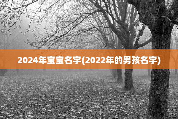 2024年宝宝名字(2022年的男孩名字)