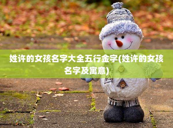姓许的女孩名字大全五行金字(姓许的女孩名字及寓意)