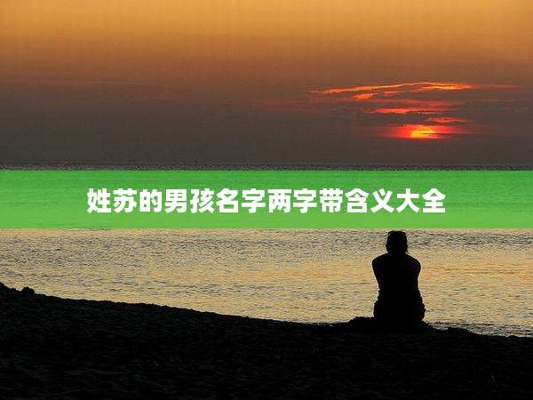 姓苏的男孩名字两字带含义大全